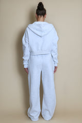 Iconic Hooded Zip Through Sweatshirt In Grey