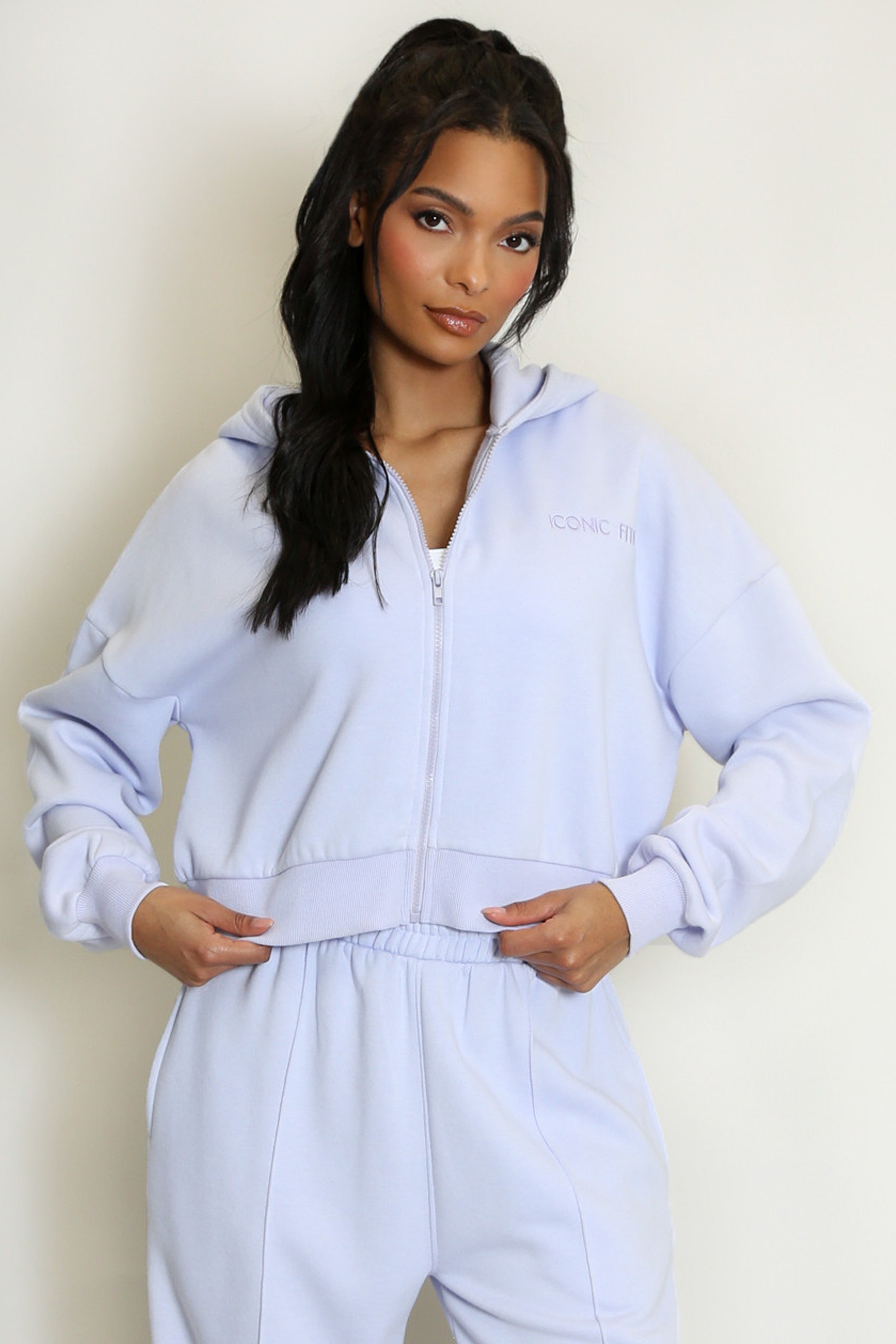 Iconic Cropped Zipper Hoodie In Lilac