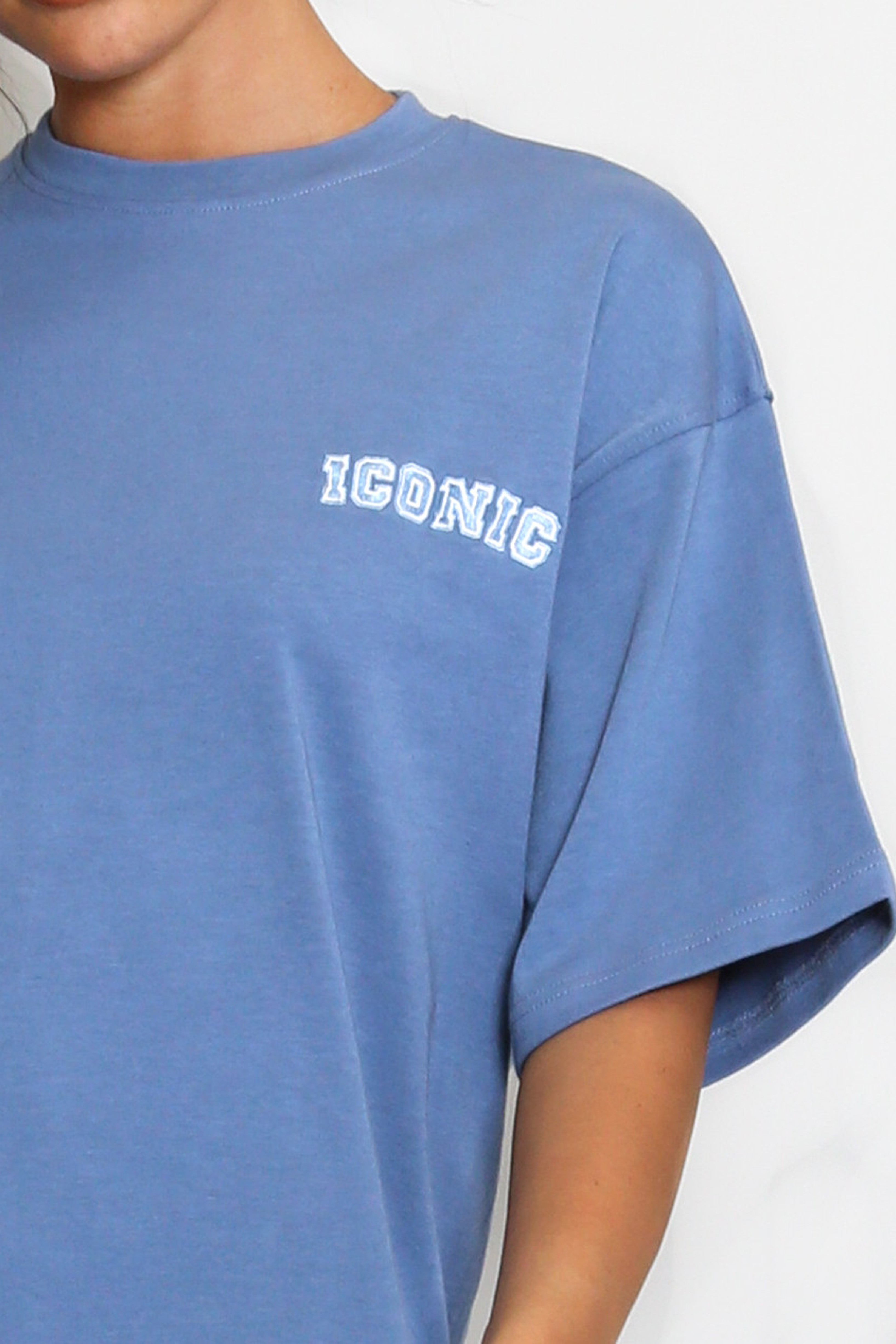 Iconic Embroidered T-Shirt In Washed Blue