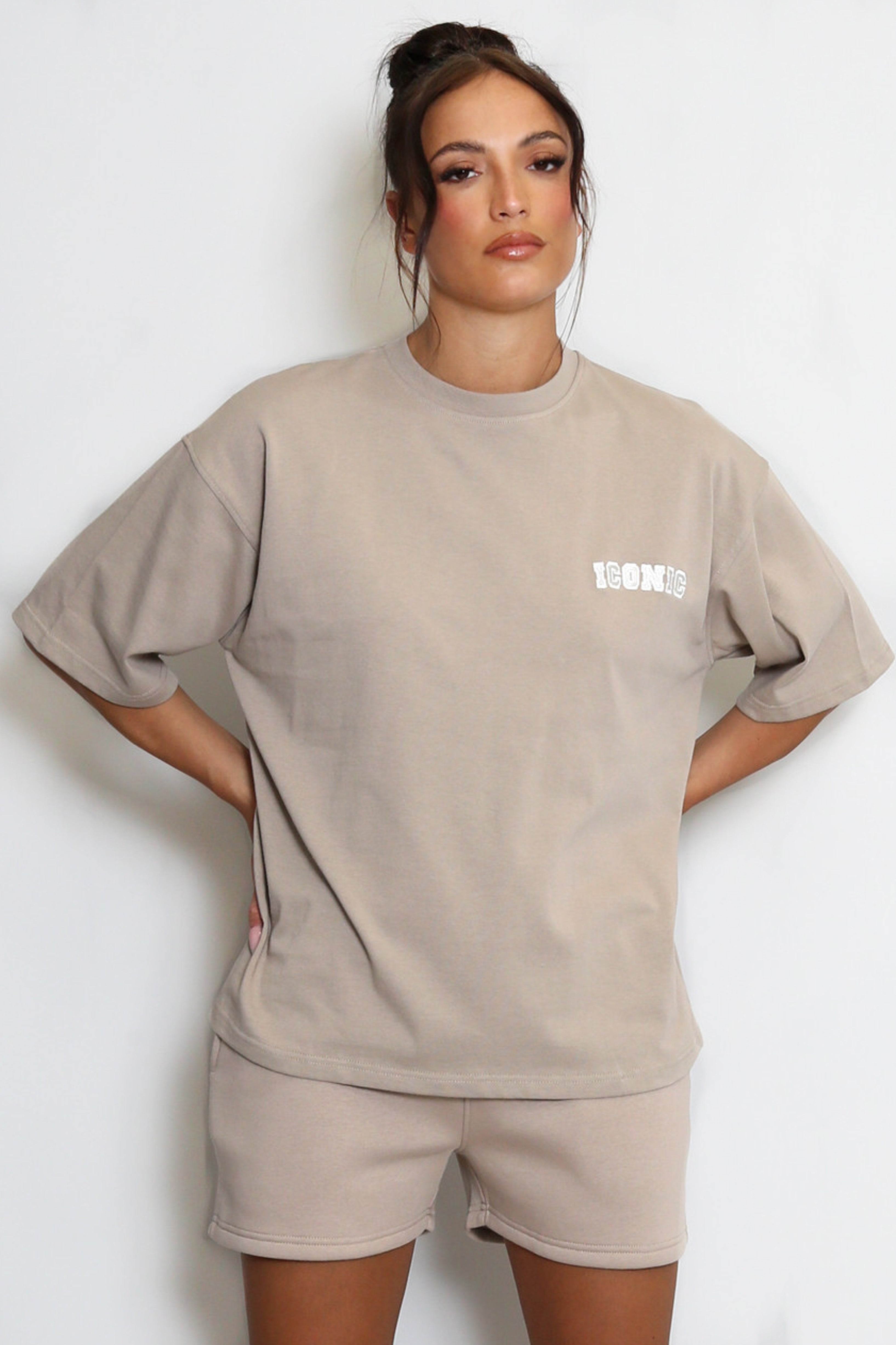 Iconic Embroidered T-Shirt In Taupe