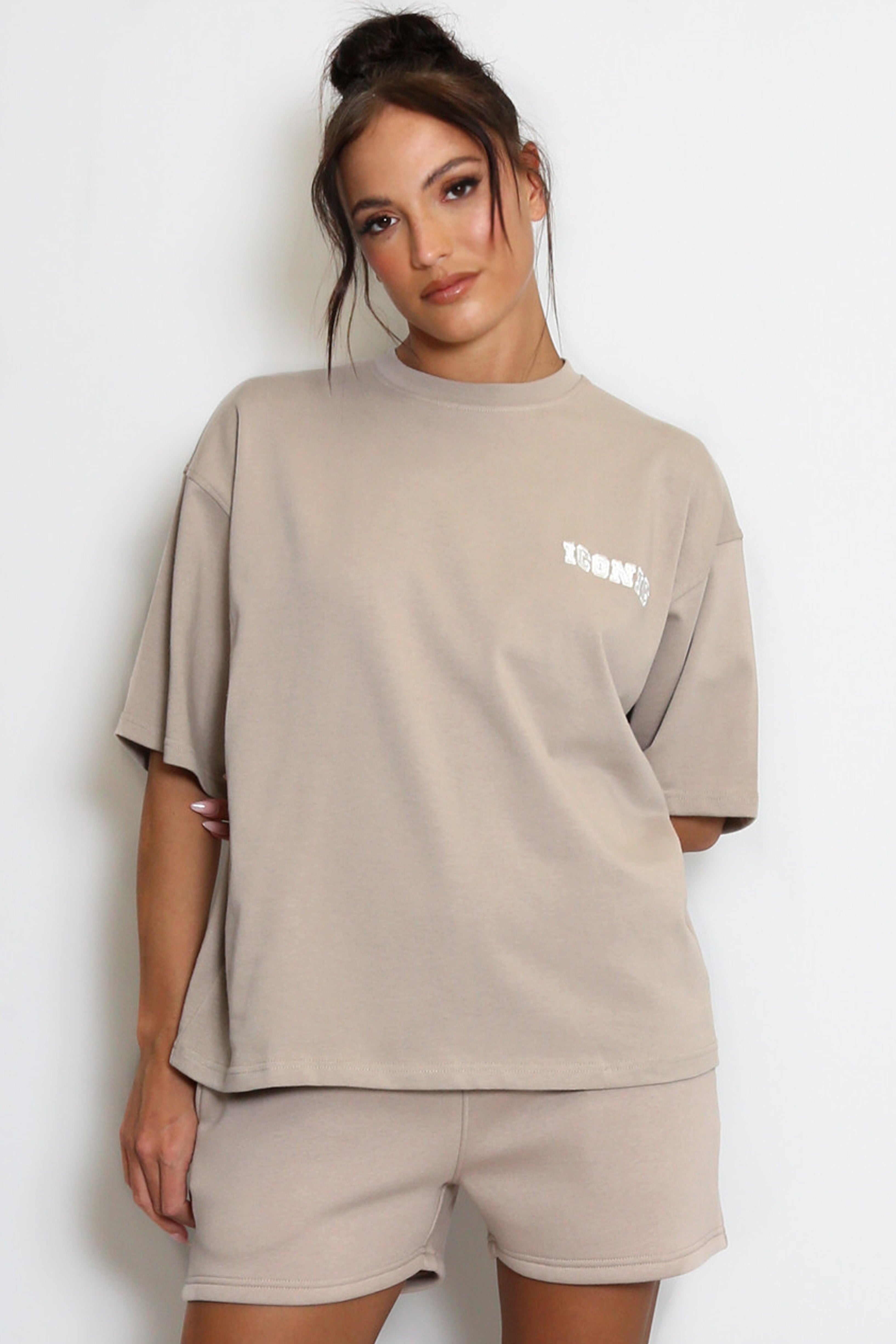 Iconic Embroidered T-Shirt In Taupe